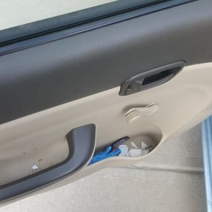 Door Shampoo