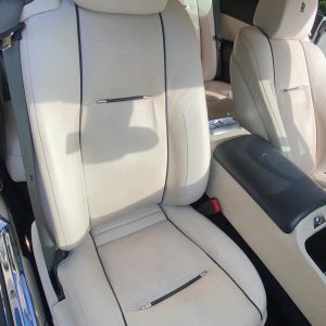Seat Shampoo