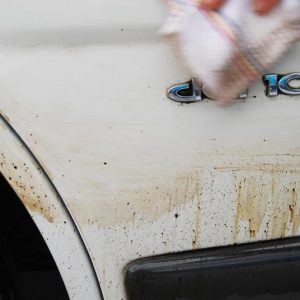 Tar Removal